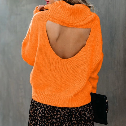 Leticia Women's Turtleneck Sweater